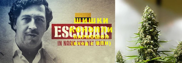 амф Волосово